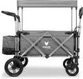 FUXTEC FX-CTL900 Premium szary, oryginalny wózek składany dla dzieci, idealny do ogrodu, na plażę lub do miasta, pchanie lub ciągnięcie, obciążenie do 75 kg.