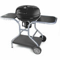 Bärbar Grill Fieldmann FZG 1014 Metall Stål